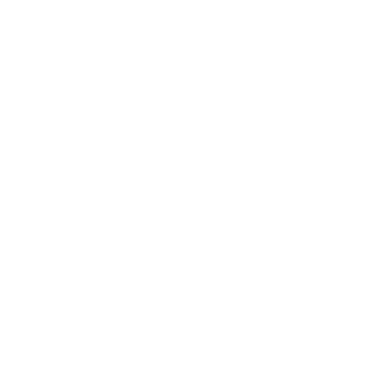 rose blossom